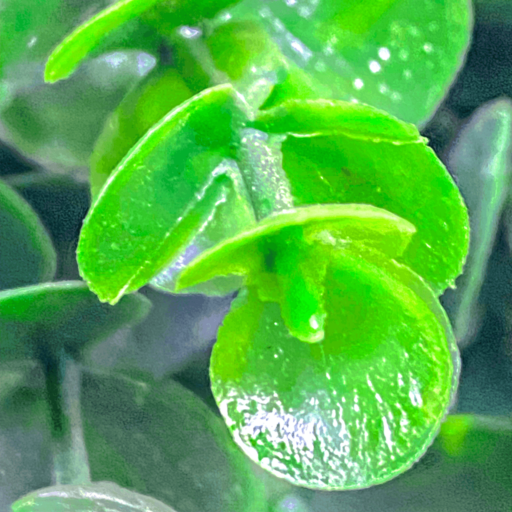 Artificial Triple Ball Money Leaf Tree-002