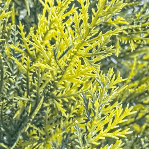 Autumn Edition Artificial Cedar Tree-002