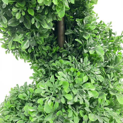 Spiral Boxwood-001