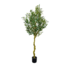 Olive Tree – 63in