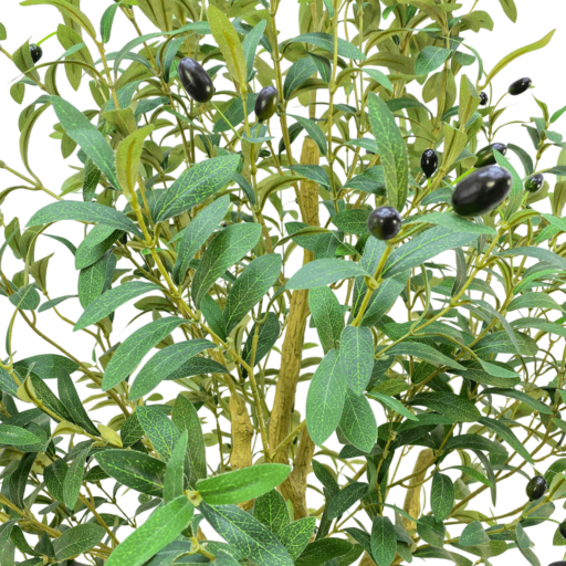 Olive Tree-63in-002