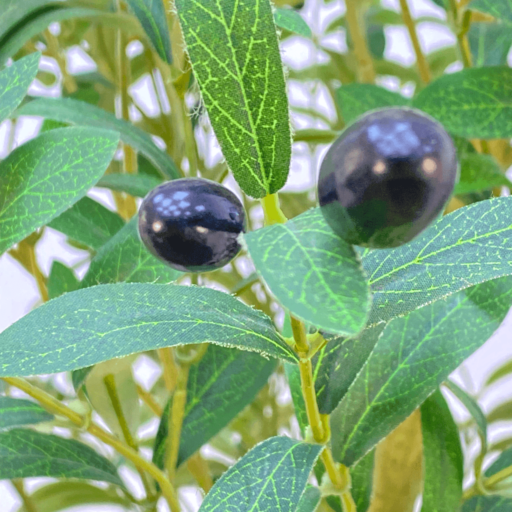 Olive Tree-63in-003