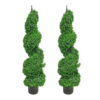 2Pack Spiral Boxwood-DIMENSIONS