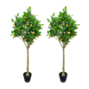 2Pack 59-inch Hyper-realistic Artificial Lemon Tree